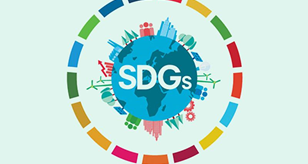 sdg logo